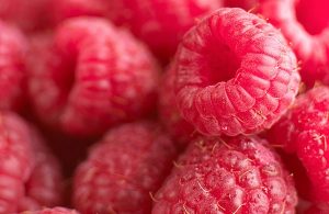 Classic raspberry Puratos