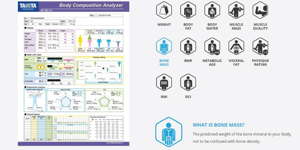 Body-composition-analyzer